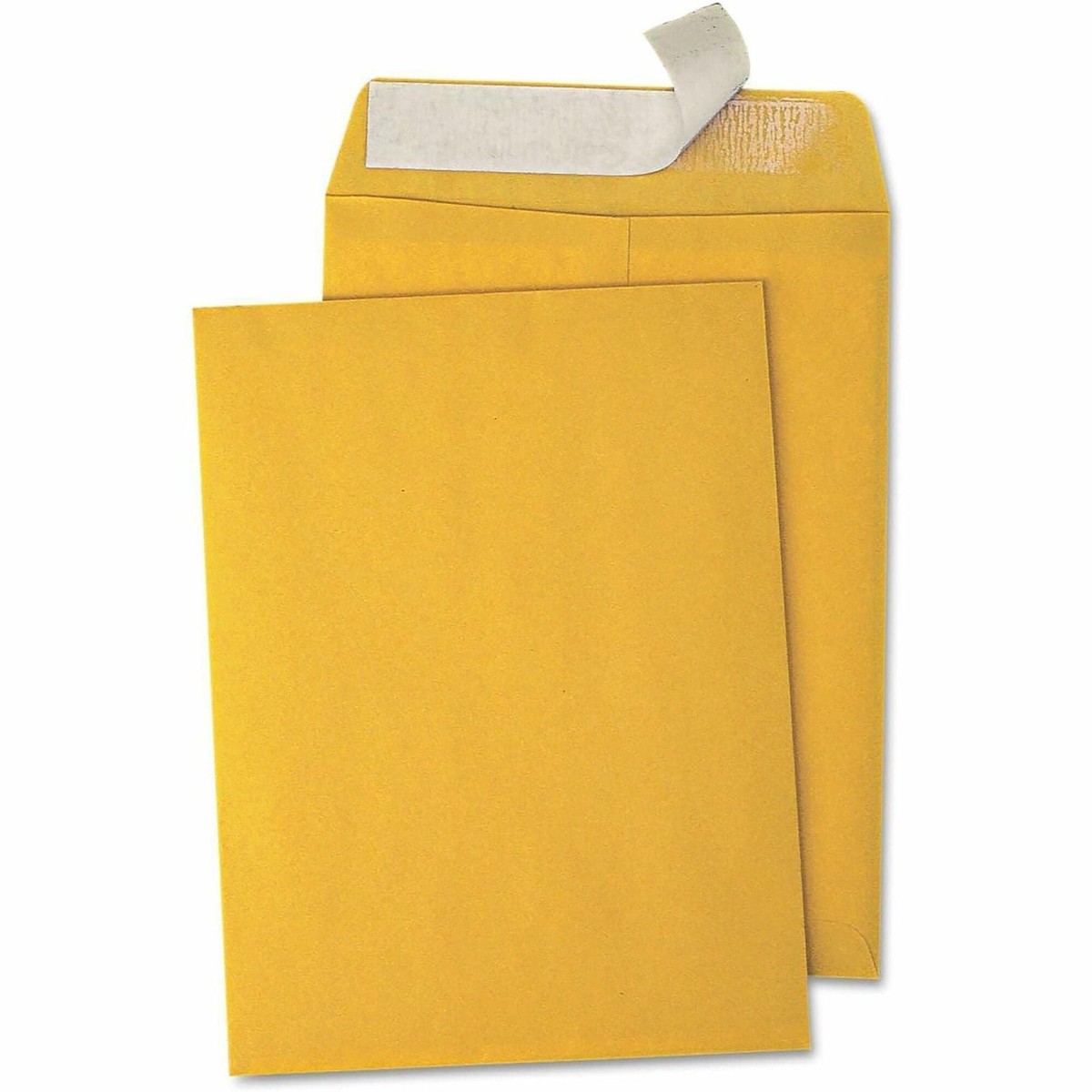 Business Source Kraft Peel-and-Stick Catalog Envelopes, Catalog, 9″ Width x 12″ Length, Peel & Stick, Brown, Kraft Paper, 100/Box (BSN40102)