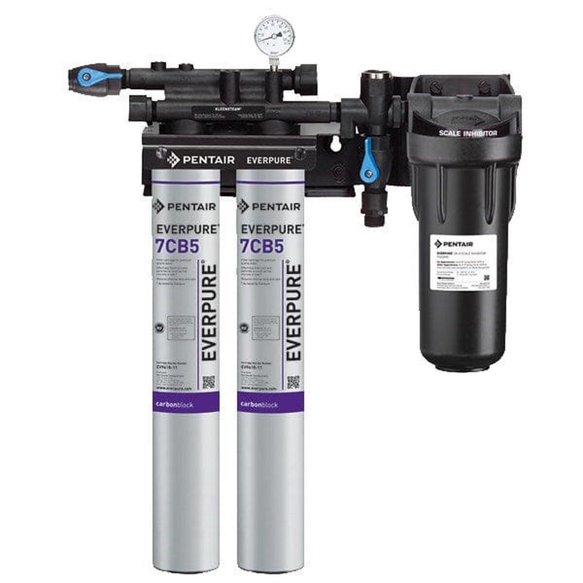 Everpure EV9797-22 Kleensteam II Twin Water Filtration System – 5 Micron and 5 GPM