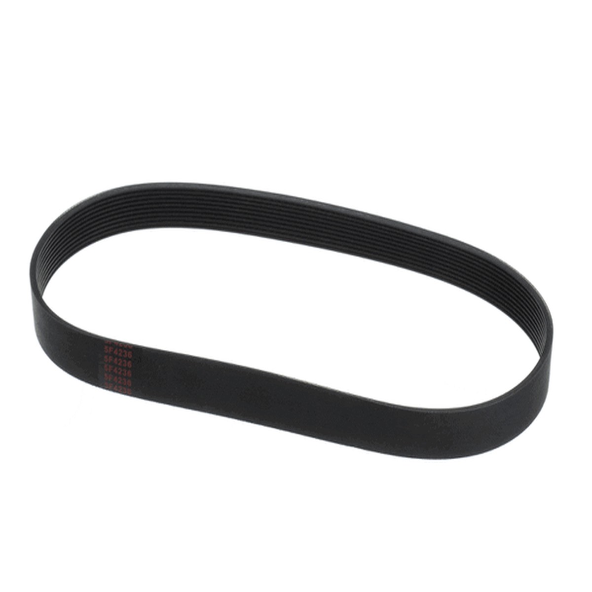 Globe L02093 Belt (5F-4236) (GLOL02093)
