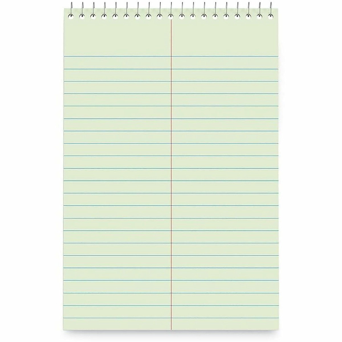 Business Source Green Tint Steno Notebook, 1 Subject, 6″ x 9″ Sheet Size, Green Cover, 6/Pack (BSN26743)