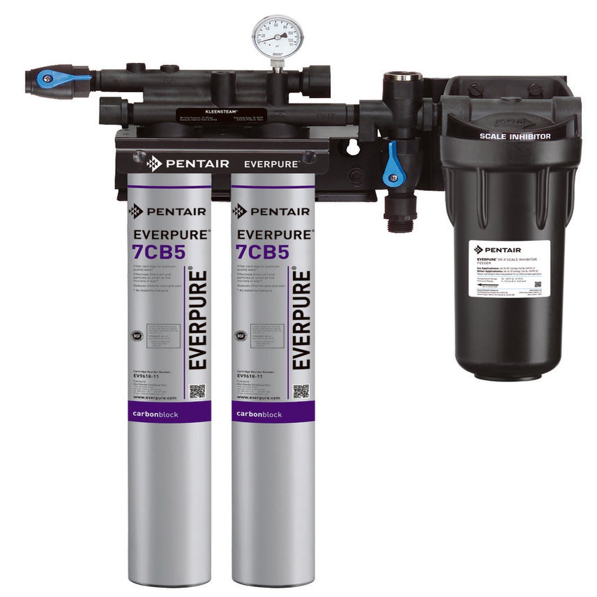 Pentair Everpure Kleensteam II Twin Filtration System – EV9797-22